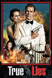 Poster to the movie "True Lies" #242848