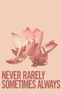 Poster to the movie "Never Rarely Sometimes Always" #103986