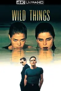 Poster to the movie "Wild Things" #102073