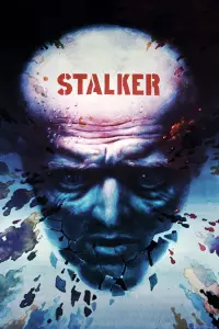 Poster to the movie "Stalker" #44084