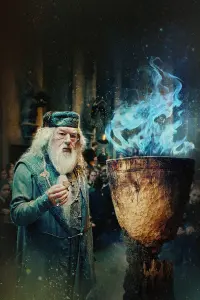 Poster to the movie "Harry Potter and the Goblet of Fire" #542673