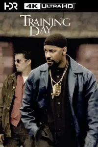 Poster to the movie "Training Day" #211539