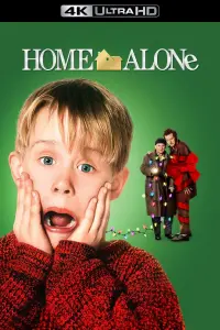 Poster to the movie "Home Alone" #216178