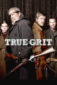 Poster to the movie "True Grit" #93860