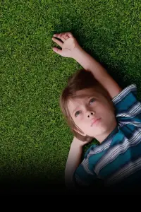 Poster to the movie "Boyhood" #210794