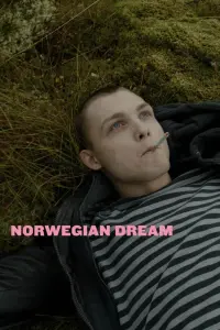 Poster to the movie "Norwegian Dream" #191988