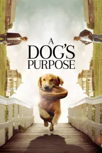 Poster to the movie "A Dog