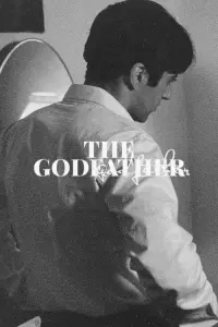 Poster to the movie "The Godfather" #479244