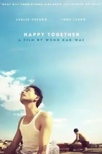 Poster to the movie "Happy Together" #155156