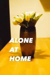 Poster to the movie "Alone at Home" #355297