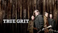 Backdrop to the movie "True Grit" #93843