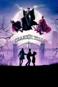 Poster to the movie "Hocus Pocus" #243428