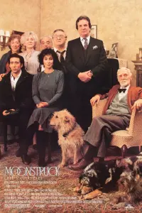 Poster to the movie "Moonstruck" #571823