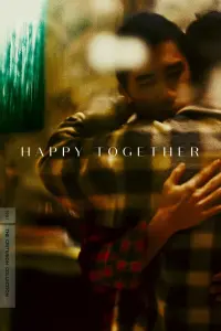 Poster to the movie "Happy Together" #155153