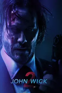 Poster to the movie "John Wick: Chapter 2" #168977