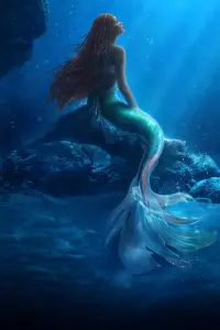 Poster to the movie "The Little Mermaid" #165106