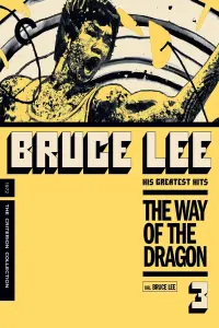 Poster to the movie "The Way of the Dragon" #82870