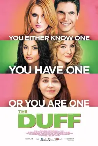 Poster to the movie "The DUFF" #263046