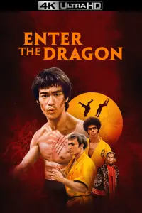 Poster to the movie "Enter the Dragon" #66001