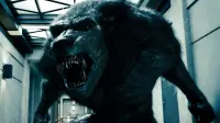 Backdrop to the movie "Underworld: Awakening" #291757