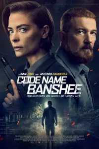 Poster to the movie "Code Name Banshee" #88028