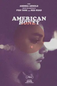 Poster to the movie "American Honey" #261734