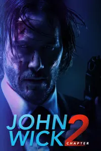 Poster to the movie "John Wick: Chapter 2" #169197