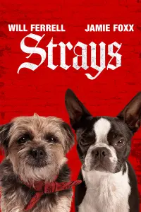 Poster to the movie "Strays" #12990