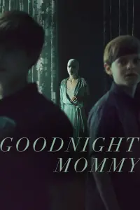 Poster to the movie "Goodnight Mommy" #294893