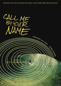 Poster to the movie "Call Me by Your Name" #668368