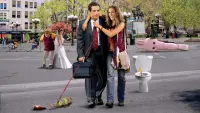 Backdrop to the movie "Along Came Polly" #309248