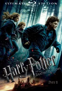 Poster to the movie "Harry Potter and the Deathly Hallows: Part 1" #11504