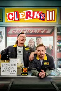 Poster to the movie "Clerks III" #445189