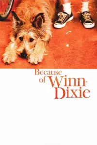 Poster to the movie "Because of Winn-Dixie" #149046