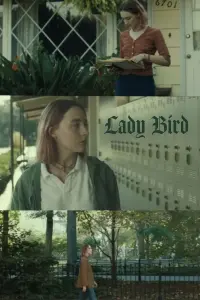 Poster to the movie "Lady Bird" #487376