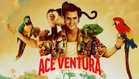 Backdrop to the movie "Ace Ventura: Pet Detective" #55704