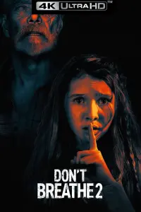 Poster to the movie "Don