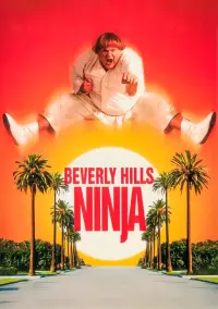 Poster to the movie "Beverly Hills Ninja" #124385