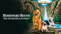 Backdrop to the movie "Homeward Bound: The Incredible Journey" #251057