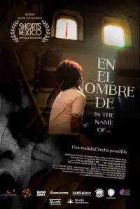 Poster to the movie "In the name of..." #570421