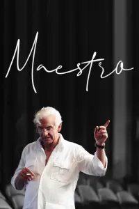 Poster to the movie "Maestro" #100348