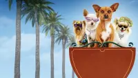 Backdrop to the movie "Beverly Hills Chihuahua" #329036