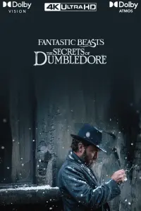 Poster to the movie "Fantastic Beasts: The Secrets of Dumbledore" #270809