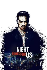 Poster to the movie "The Night Comes for Us" #256522