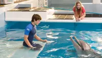 Backdrop to the movie "Dolphin Tale 2" #456633