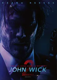 Poster to the movie "John Wick: Chapter 2" #169040