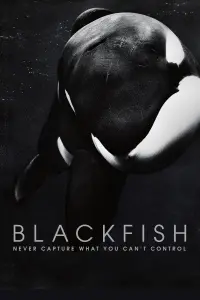 Poster to the movie "Blackfish" #155022