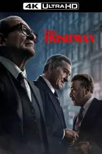 Poster to the movie "The Irishman" #71040