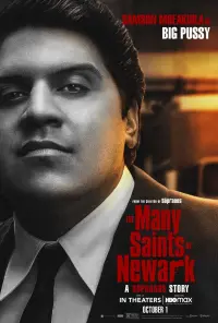 Poster to the movie "The Many Saints of Newark" #287283