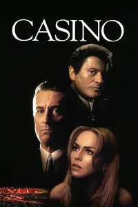 Poster to the movie "Casino" #54990